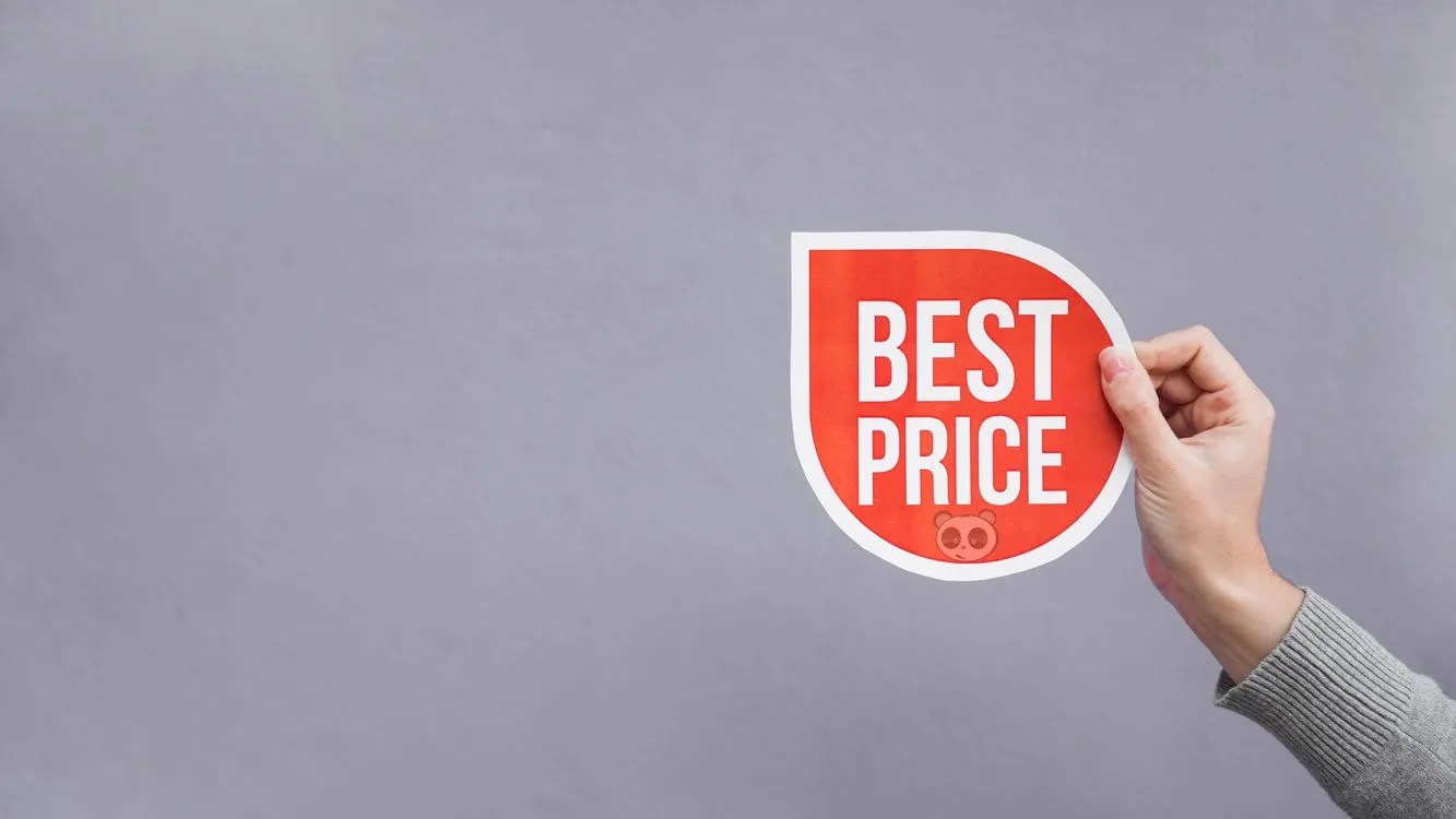 Website design cost