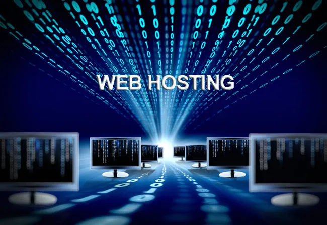 Website Hosting (Web Hosting)