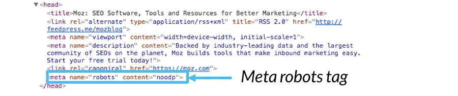There is no description for this result due to this site's robots.txt