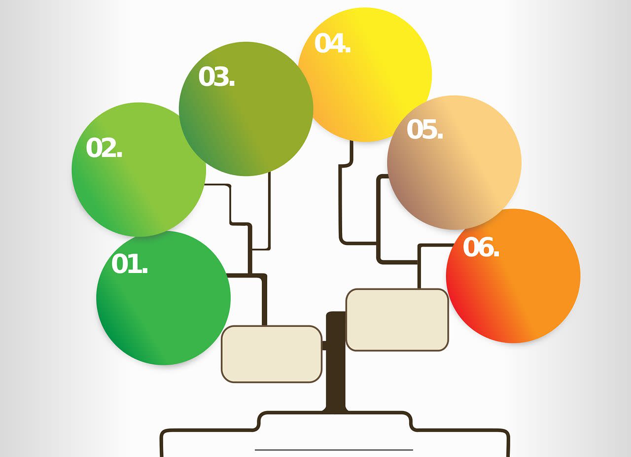 infographic steps, stages, vector infographic